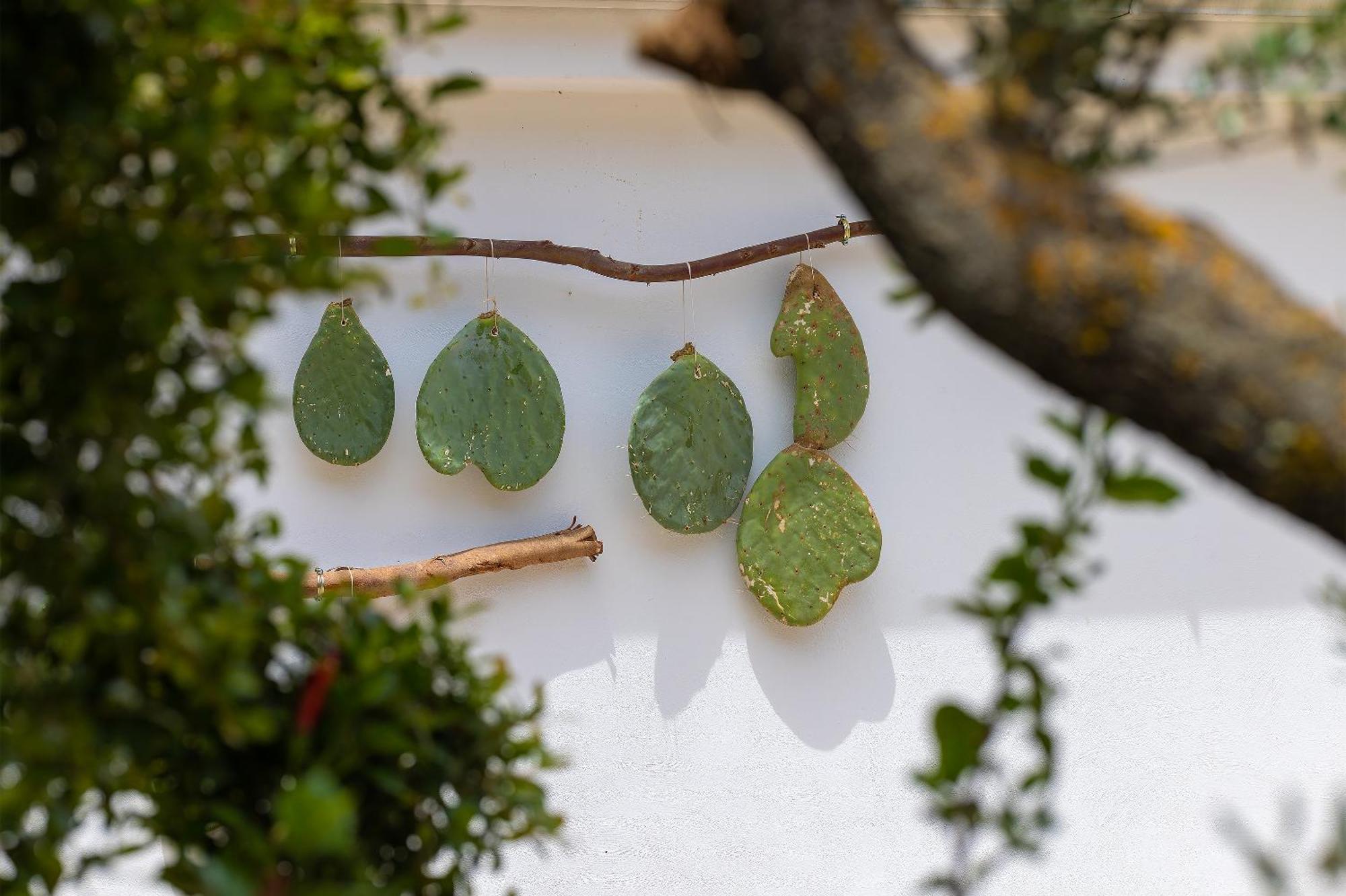 Hotel Masseria Fontanelle Ugento Dış mekan fotoğraf